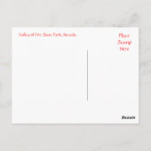 ネバダポストカード州パークの谷 ポストカード (裏面)