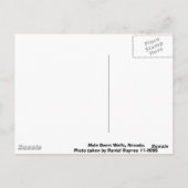 ネバダミューレディア ポストカード (裏面)