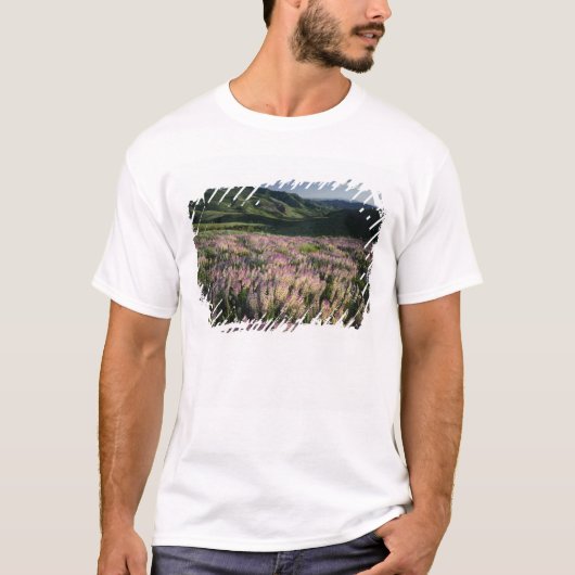 ネバダ州のジャーブリッジ・ウィルダネスと山々、支脈 Tシャツ (正面)