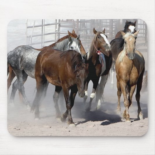 ネバダ州のマウスパッド野生の口髭 マウスパッド (正面)