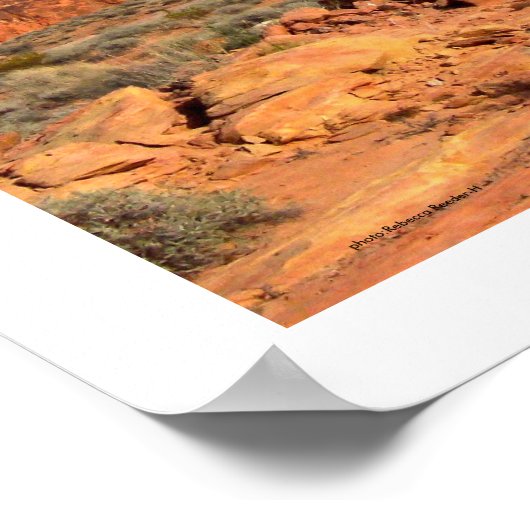 ネバダ州の火災の谷 ポスター (角)