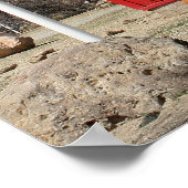 ネバダ州ウェリントンにある一室のレッドスクールハウス ポスター (角)