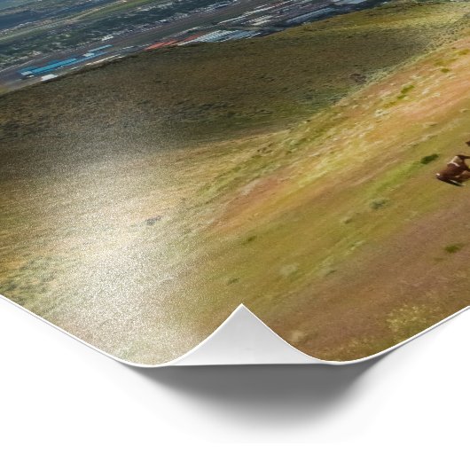 ネバダ州カーソン市の野生のマスタングの馬の写真 フォトプリント            (角)