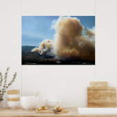 ネバダ州カーソン市ウォーターフォール7/14/04 ポスター (キッチン)