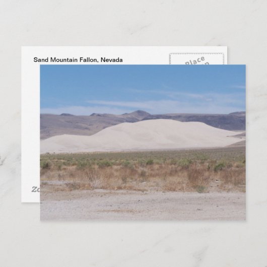 ネバダ州サンドマウンテンファロン ポストカード (正面/裏面)