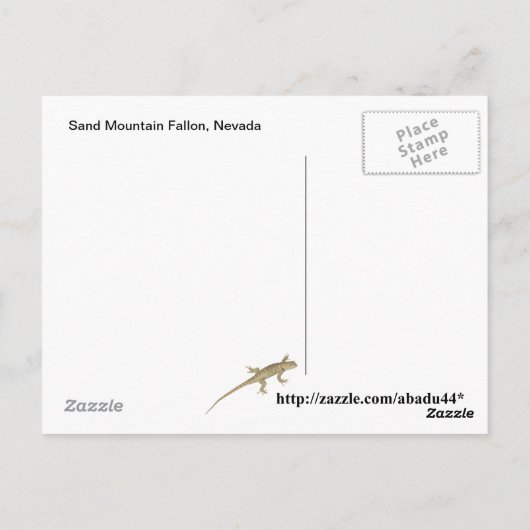 ネバダ州サンドマウンテンファロン ポストカード (裏面)