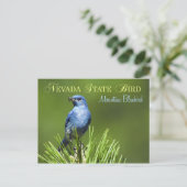 ネバダ州バードマウンテンブルーバード ポストカード (スタンド正面)