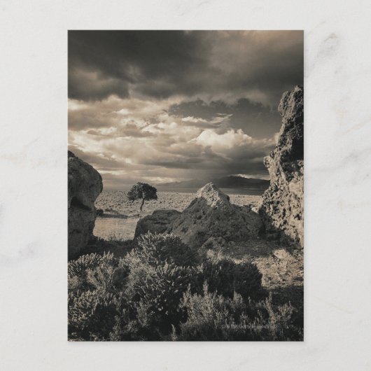 ネバダ州ピラミッド湖2 ポストカード (正面)