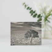 ネバダ州ピラミッド湖 ポストカード (スタンド正面)