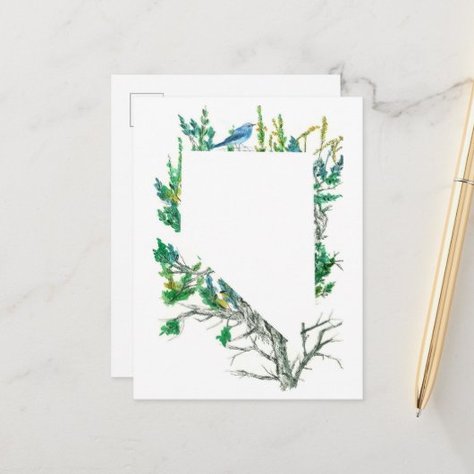 ネバダ州フラワーサージブラシマウンテンブルーバード ポストカード (正面/裏面インサイチュ)