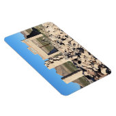 ネバダ州ライオライト幽霊タウンの遺跡 マグネット (右側)