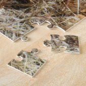 ネバダ州レッドロックキャニオンのピンクのサボテンの花 ジグソーパズル (側面)