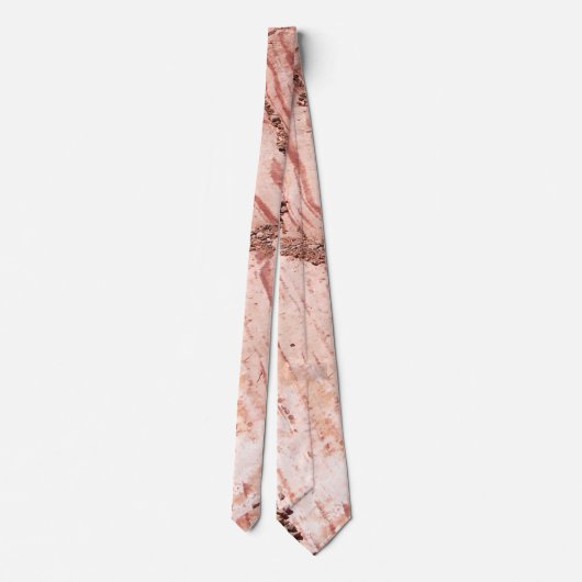 ネバダ州レッドロックキャニオン ネクタイ (裏面)