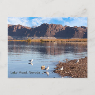 ネバダ州大きい石ビーチLake Mead ポストカード