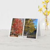 ネバダ州秋のレノパークス、写真J.ハルコ カード (黄色い花)