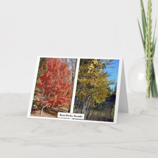 ネバダ州秋のレノパークス、写真J.ハルコ カード (正面)
