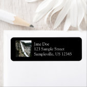 ネバダ滝アットヨセミテ国立公園 ラベル (インサイチュ)