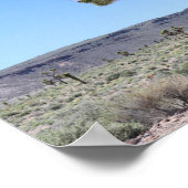 ネバダ砂漠のゴールドフィールドのジョシュアの木々 ポスター (角)