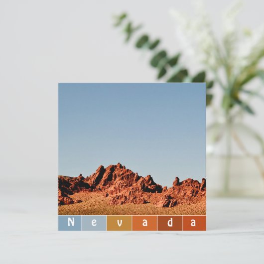 ネバダ砂漠 (スタンド正面)