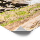 ネバダ秋 ポスター (角)