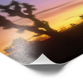 ネバダ.アメリカ。ジョシュアの木ユッカ・ブレビフォリア) フォトプリント            (角)