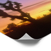 ネバダ.アメリカ。ジョシュアの木ユッカ・ブレビフォリア) ポスター (角)