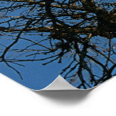 ネバーモア ポスター (角)