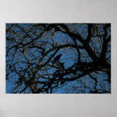 ネバーモア ポスター (正面)