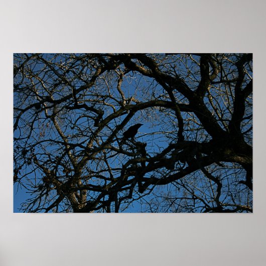 ネバーモア ポスター (正面)