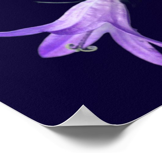 ネバーロープホープるみ感動的引用文 ポスター (角)