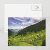 ネパールのはがき水田 ポストカード (正面/裏面)
