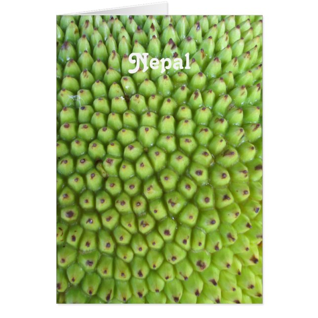 ネパールのパラミツ (正面)