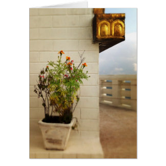 ネパールの平静そして宇宙