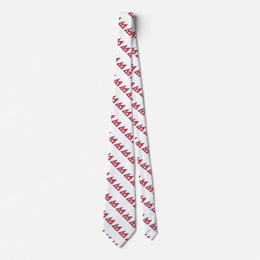 ネパールの旗 ネクタイ (正面)