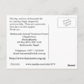 ネパールの絶望する犬たちを助けてください ポストカード (裏面)