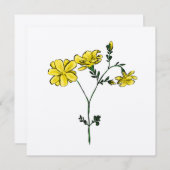 ネパール産の黄色い花 サンキューカード (正面/裏面)