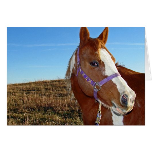 ネブラカの派手さ (正面横)