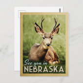 ネブラスカでお会いしましょう - 鹿の野生 ポストカード (正面/裏面)