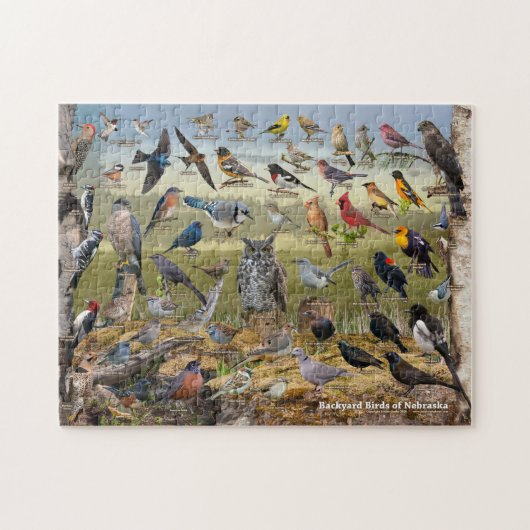 ネブラスカの裏庭の鳥 ジグソーパズル (横)