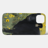 ネブラスカ州のヒマワリの中の子牛 Case-Mate iPhoneケース (裏面 (横))