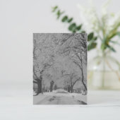 ネブラスカ州の冬のはがき ポストカード (スタンド正面)