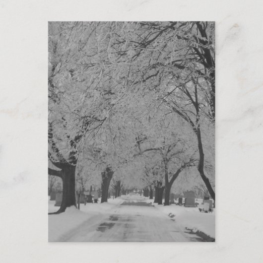 ネブラスカ州の冬のはがき ポストカード (正面)