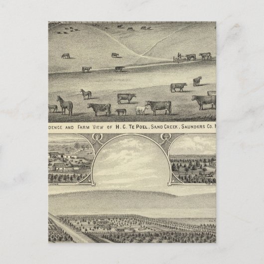 ネブラスカ州サンダース郡の農場 ポストカード (正面)