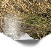 ネブラスカ州シドニーの東の草原。 フォトプリント            (角)