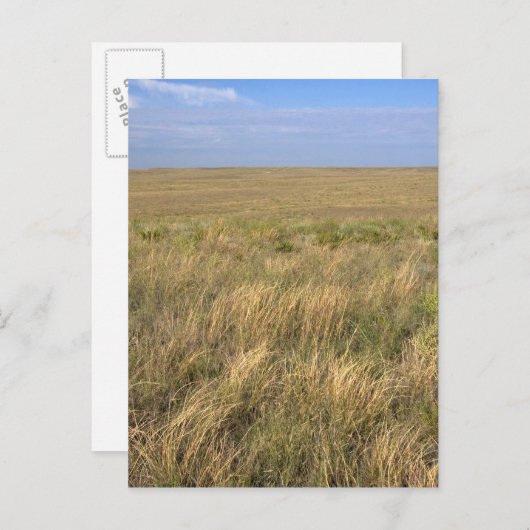 ネブラスカ州シドニーの東の草原。 ポストカード (正面/裏面)
