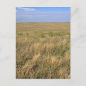 ネブラスカ州シドニーの東の草原。 ポストカード (正面)