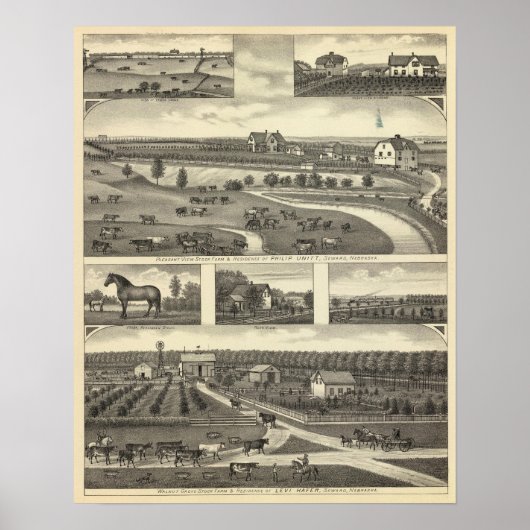 ネブラスカ州シーワードファーム ポスター (正面)