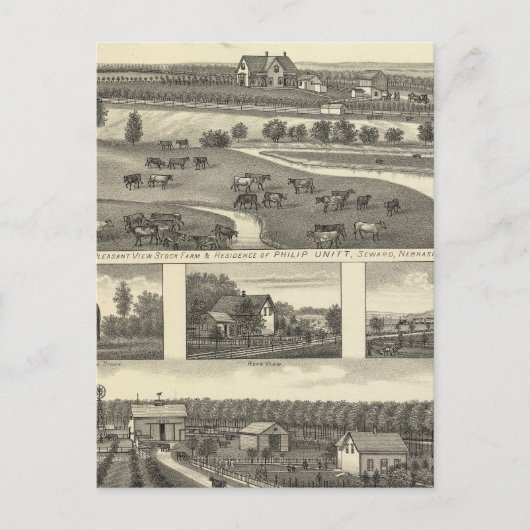 ネブラスカ州シーワードファーム ポストカード (正面)