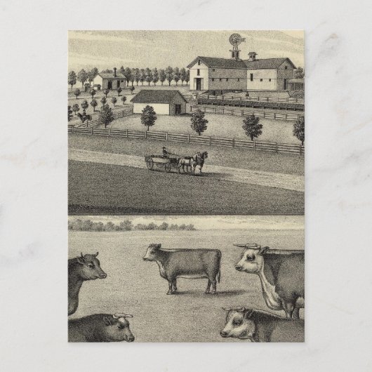 ネブラスカ州マクドナルド・ファーム ポストカード (正面)