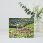 ネブラスカ州リンカーンのサンケンガーデンズ #223 ポストカード (スタンド正面)